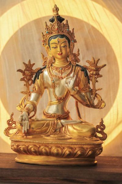 WhatsApp-Image-2023-07-19-at-16.42.11-1